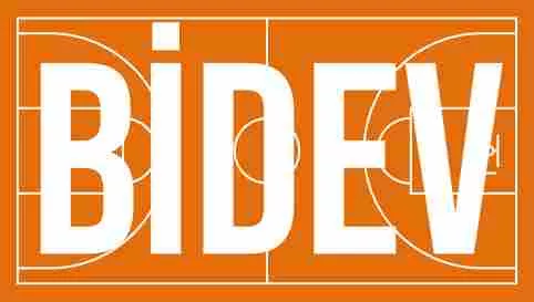 BİDEV - Basketbol için Destek ve Eğitim Vakfı Görsel 2022 Yılı Faaliyet Raporu 