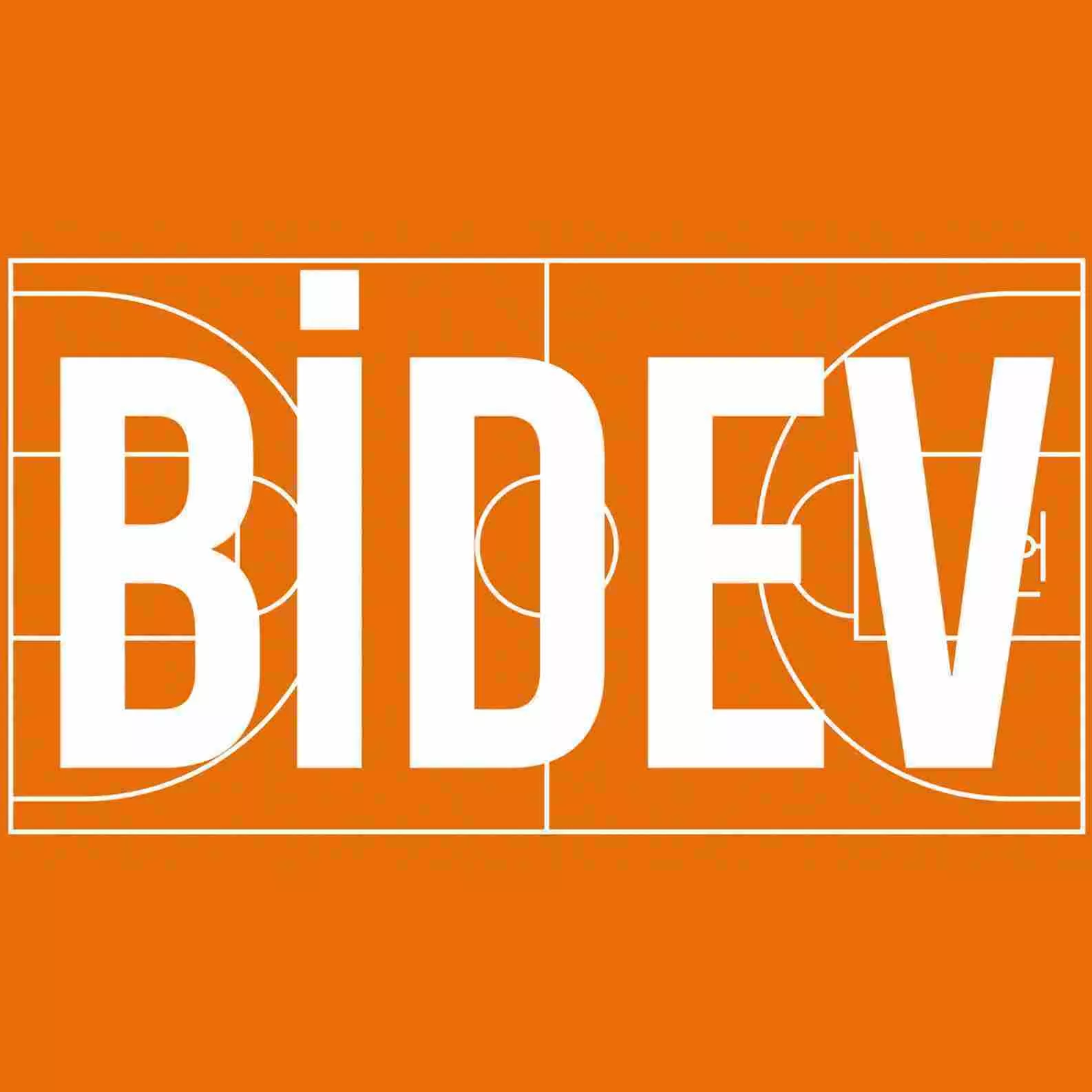 BIDEV - Basketball Solidarity and Education Foundation Image Aydın Kanatlı